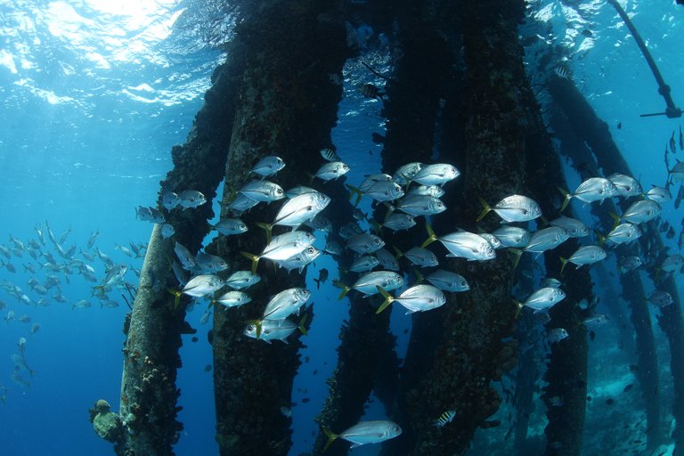 Bonaire