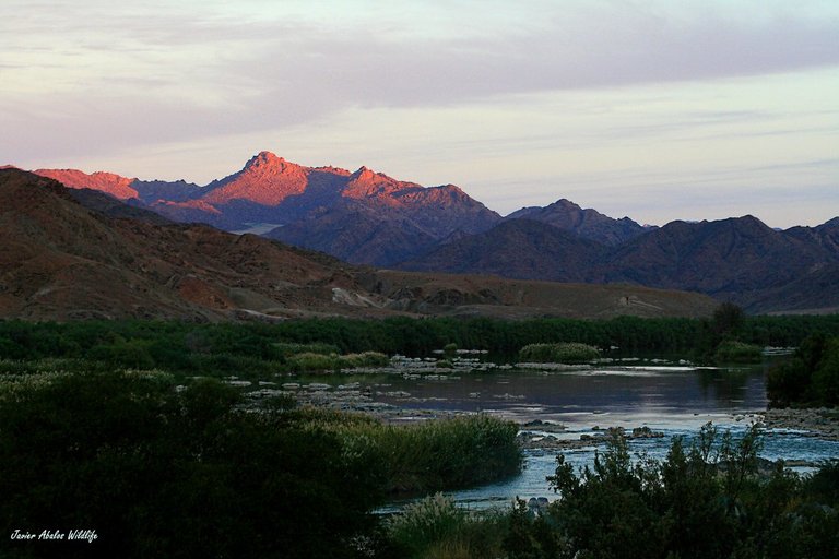 Orange river in Richtersveld Transfrontier Park (Namibia-South Africa)