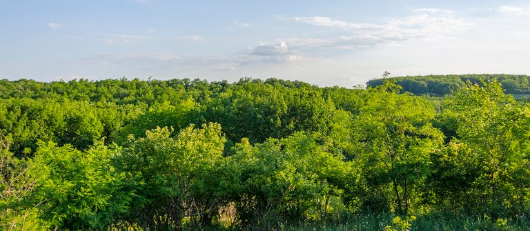 _DSC8080
