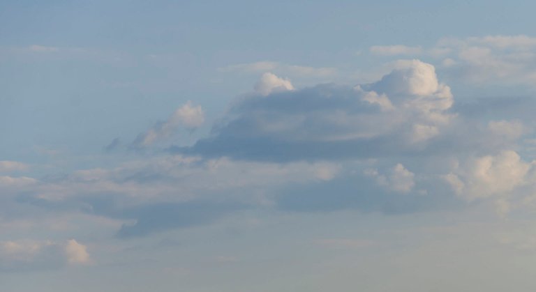 _DSC8084