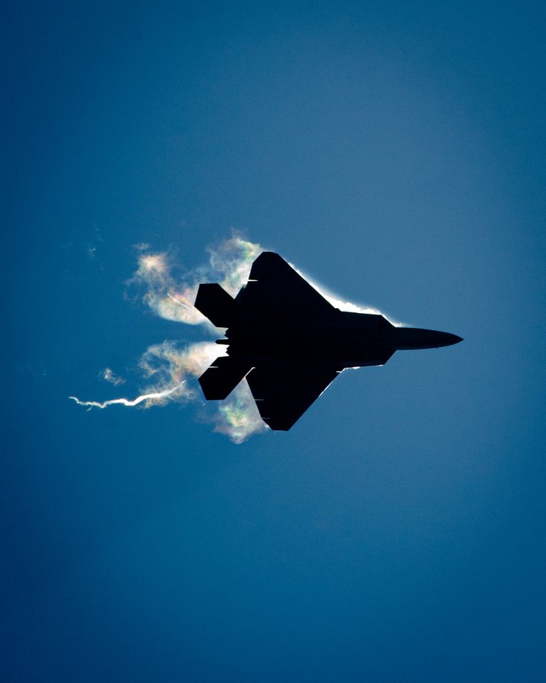 F-22 Raptor