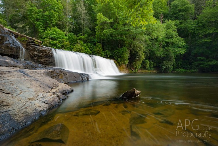 Lush Summer at Hooker Falls