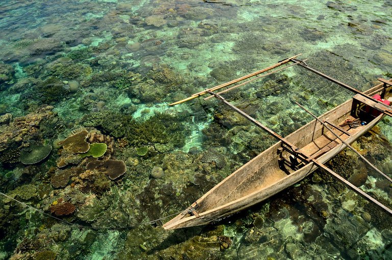 Raja Ampat Coral Reef