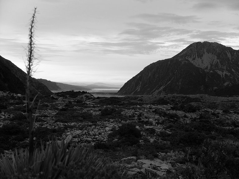 Lake Pukaki