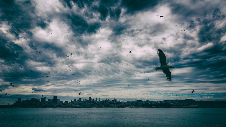 San Francisco from Alcatraz