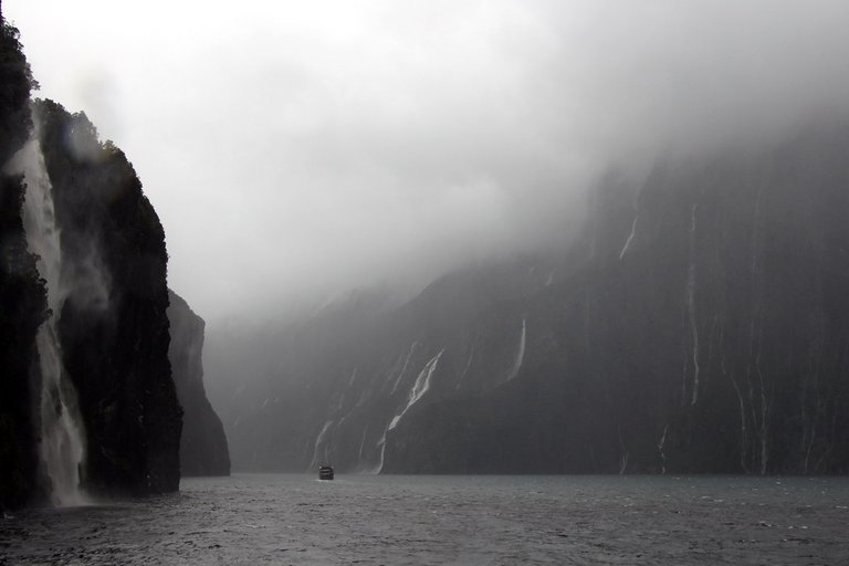 Milford Sound In The Rain