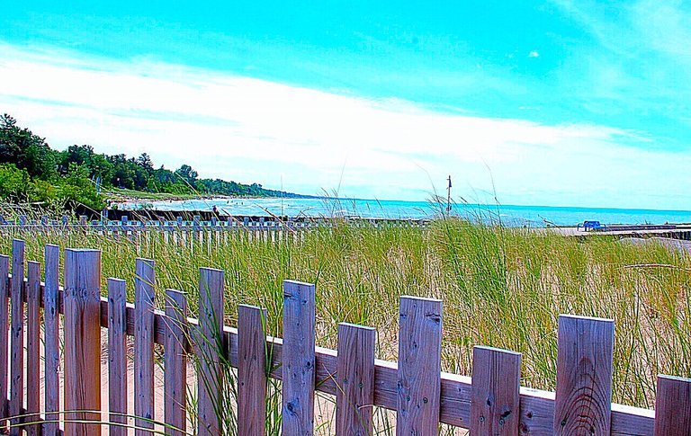 Simple but Beautiful Fence