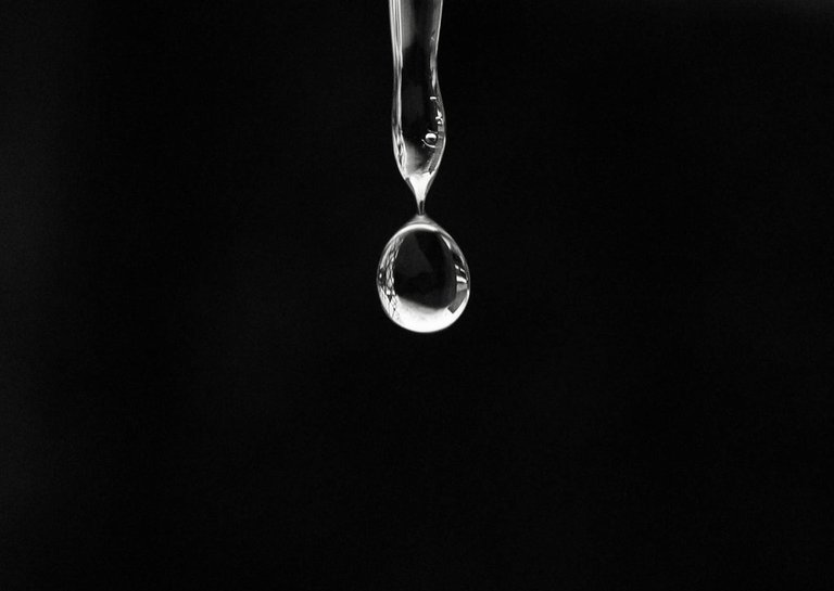 IMG_3677