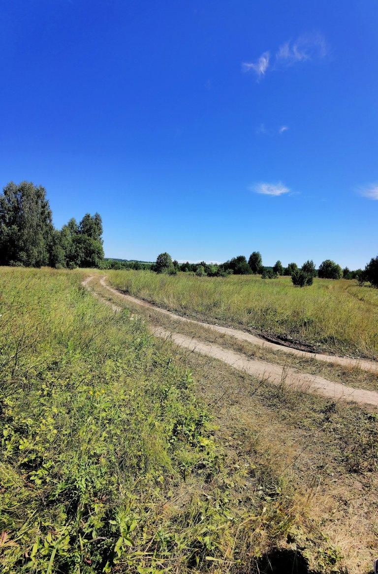 The field road