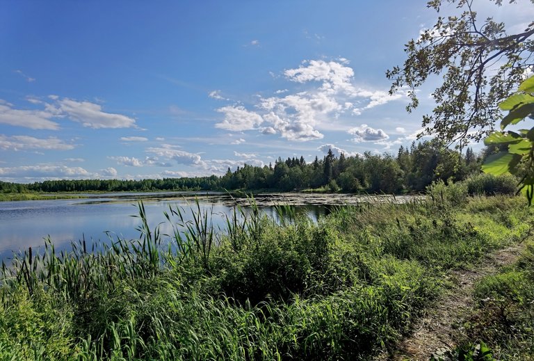 I decided to walk around the lake.