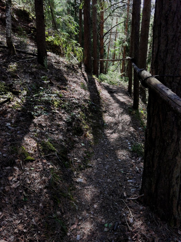 Wooden fences