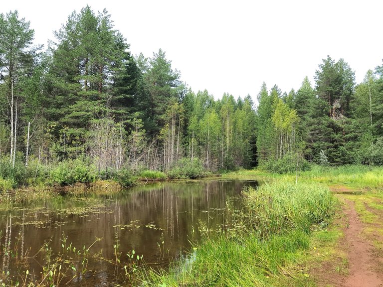 A little lake