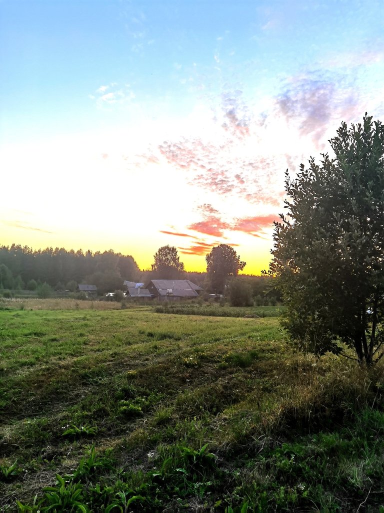 Sunset over the field