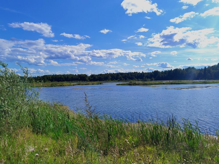 Splendid lake landscape