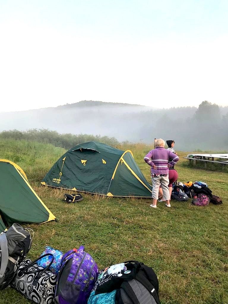 Hedgehogs in the fog....