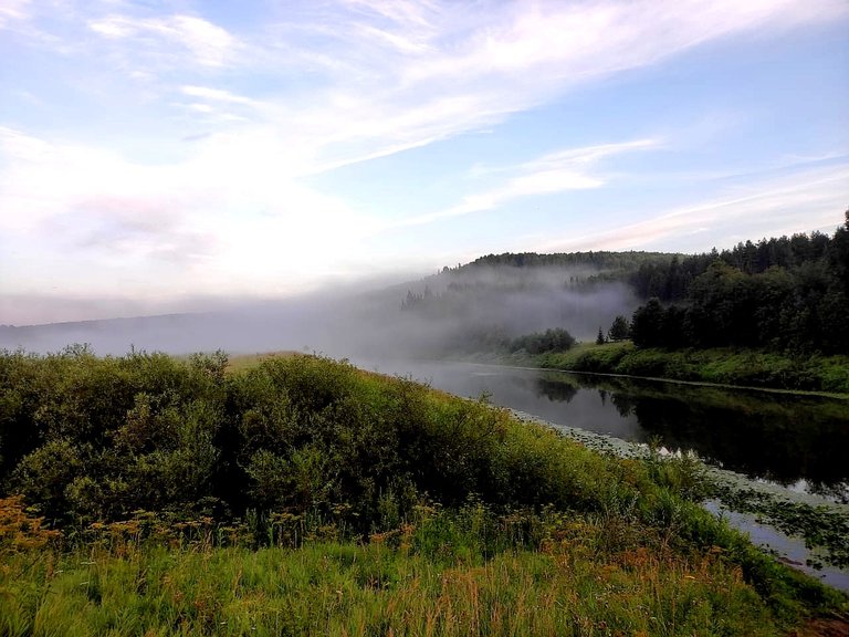 Foggy shores...