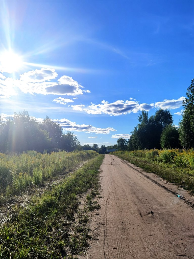 Sandy road