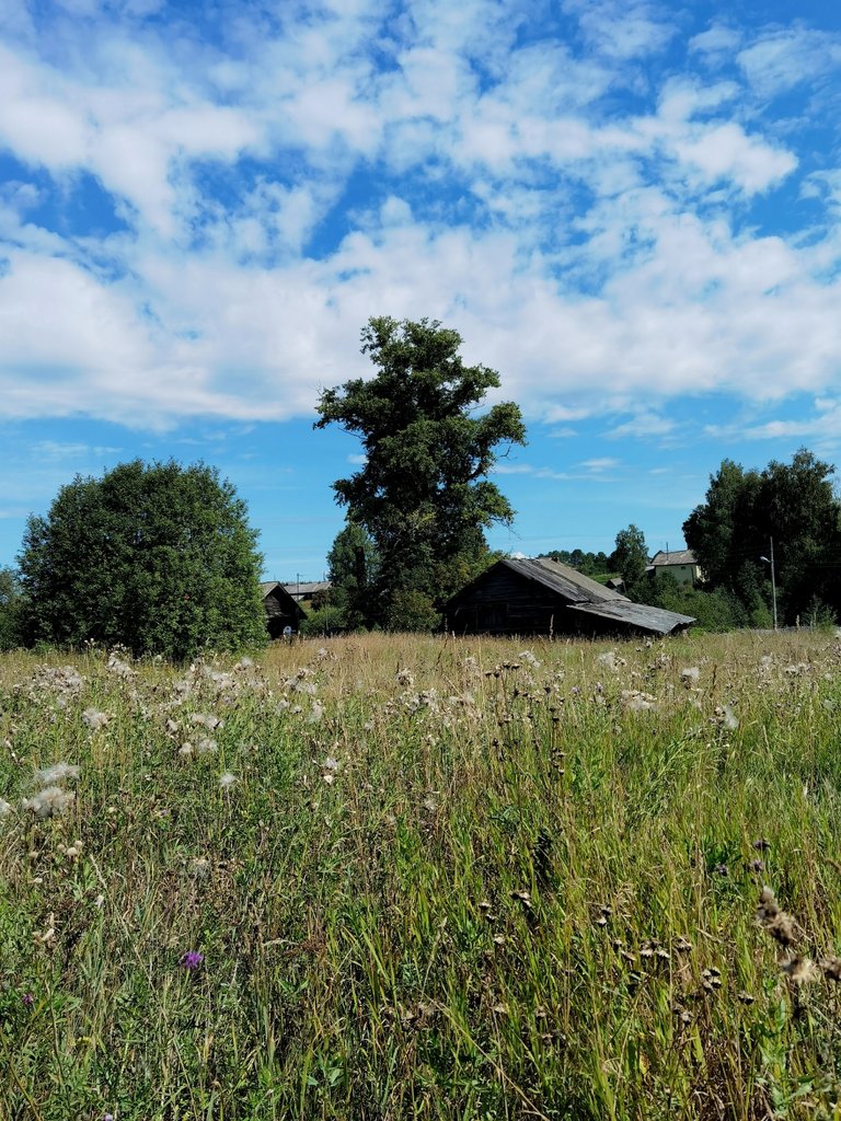 A village in the fields
