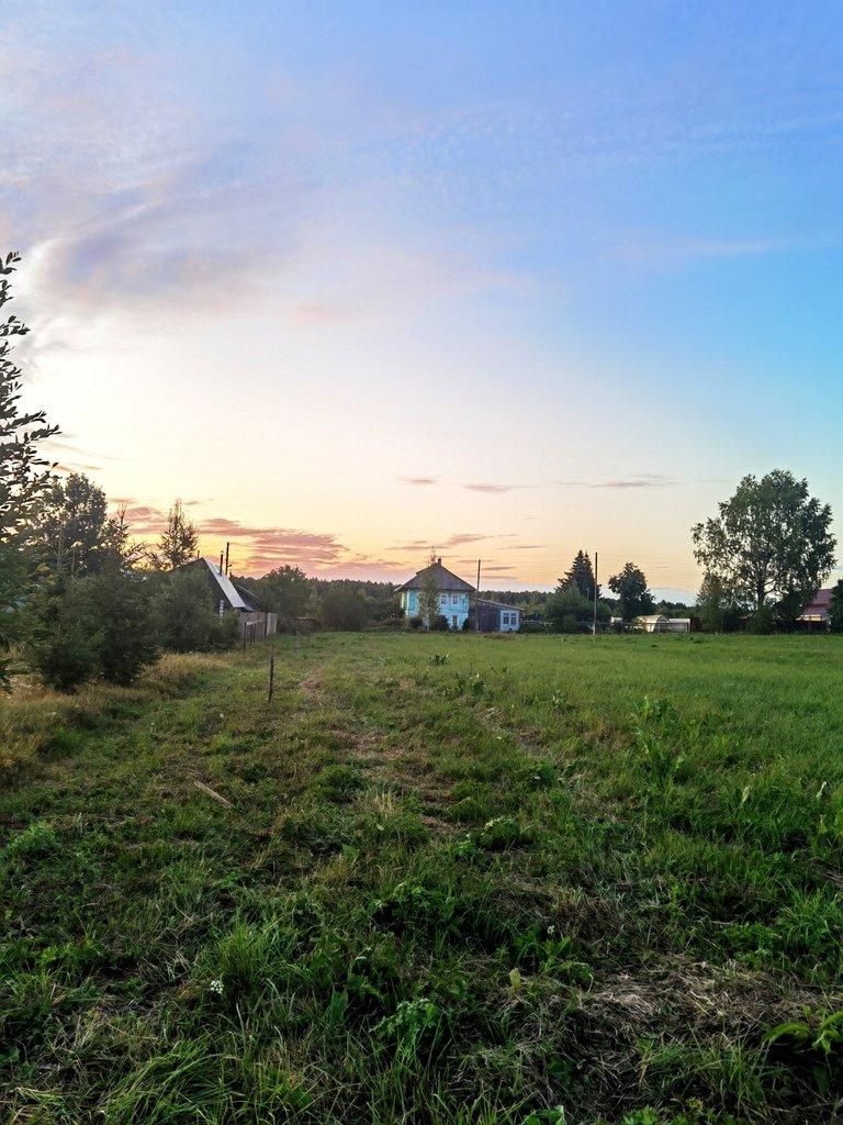 Evening landscape