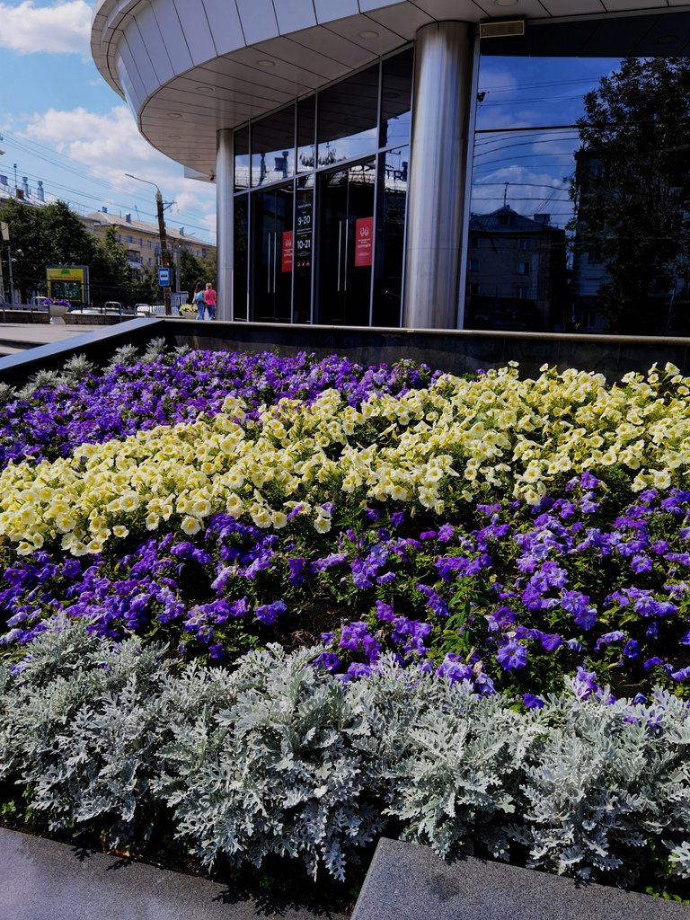 Northern summer is short, so we need to plant more flowers!