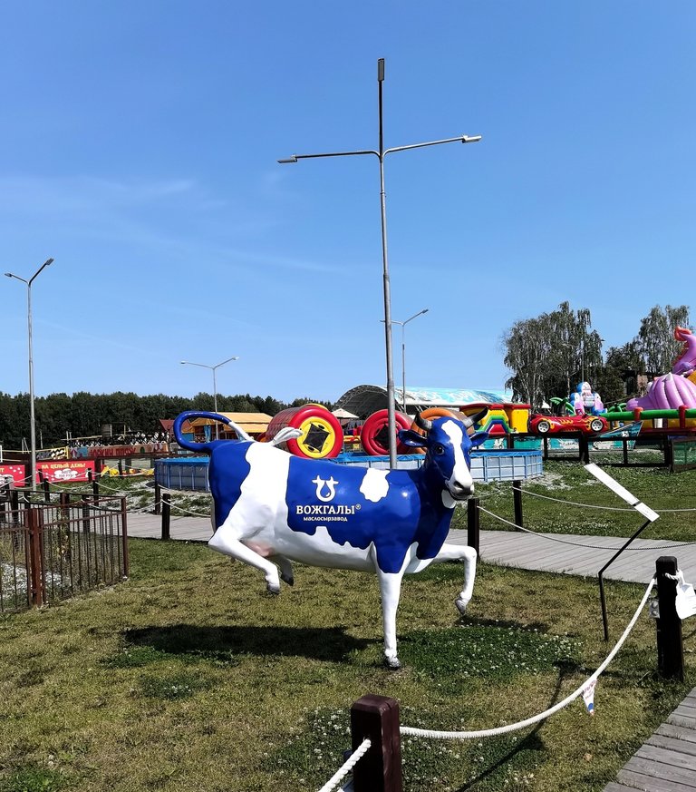 And the blue cow😆