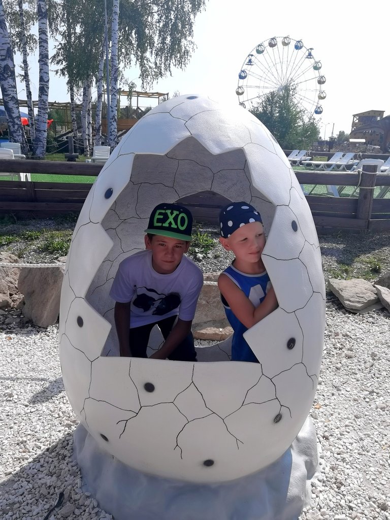 In a dinosaur egg