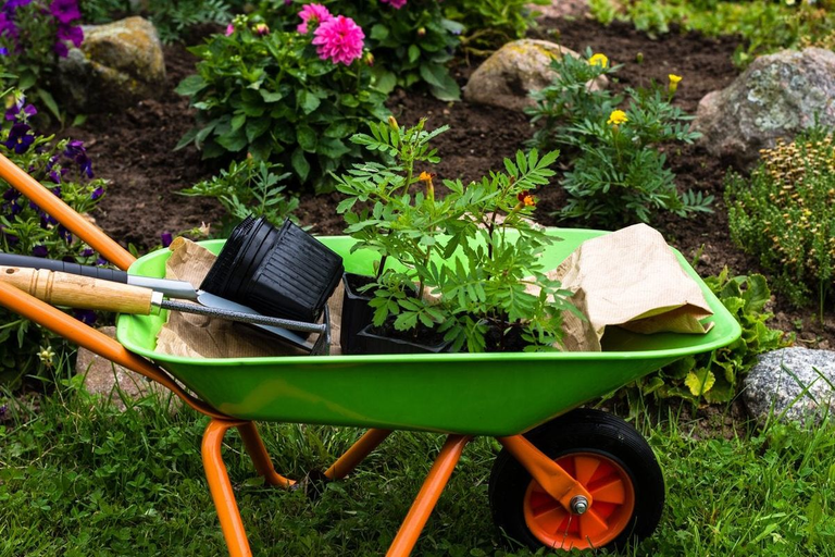 Homesteading Tools - Wheelbarrow