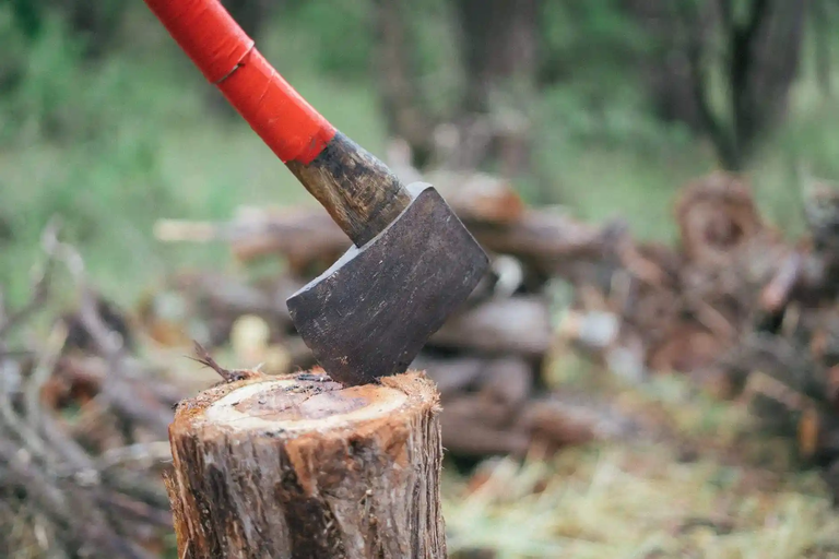 Homesteading Tools: Axe, Hammer and Crowbar