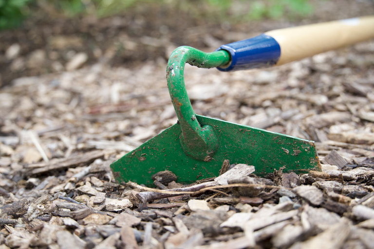 Homesteading Tools : Wheelbarrow, Shovel and Hoe