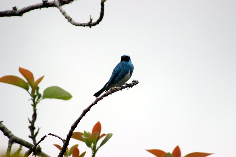 IMG_8378m.JPG