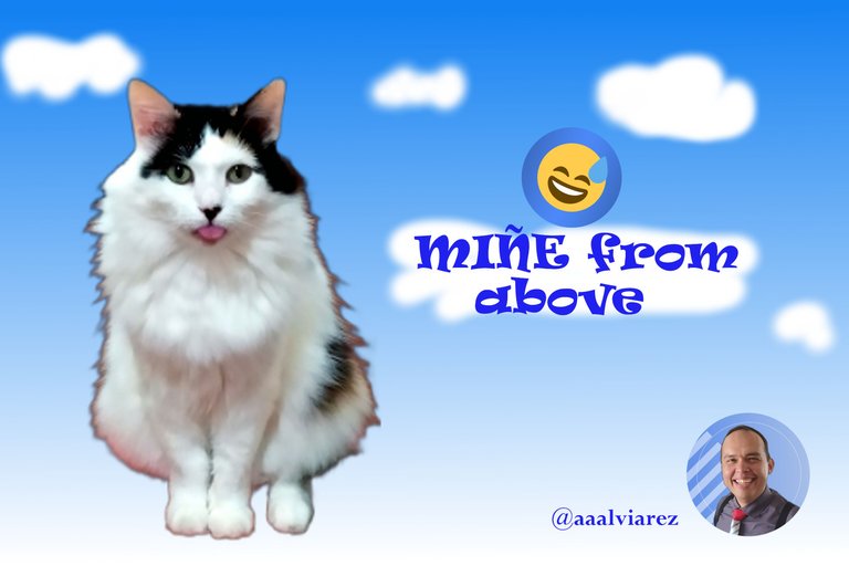 MiñeFromAbove.jpg
