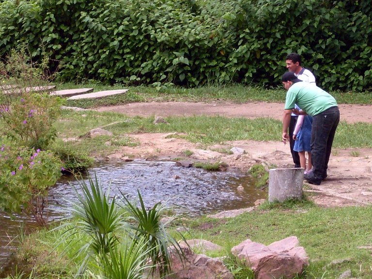 SDC11082.JPG
