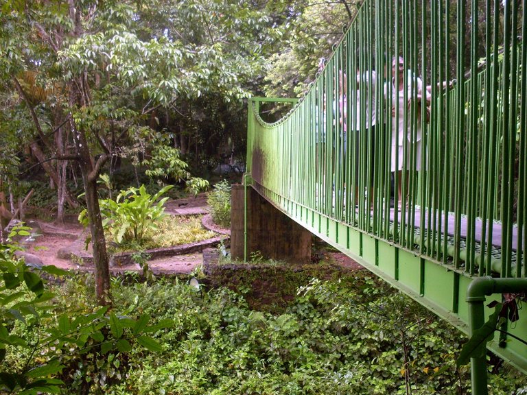 SDC11144.JPG