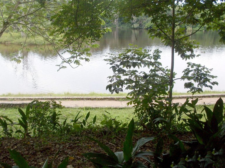 SDC11090.JPG