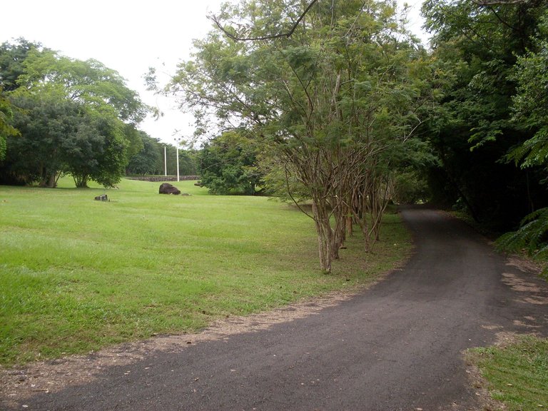SDC11095.JPG