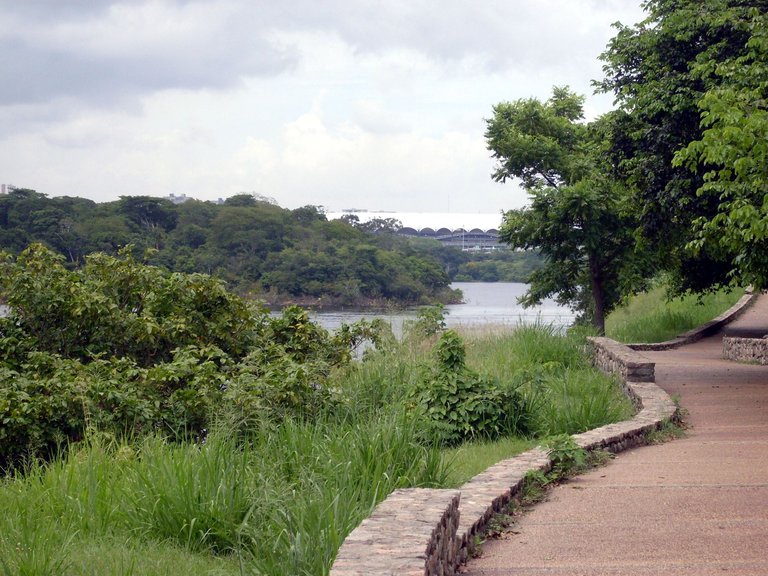 SDC11124.JPG