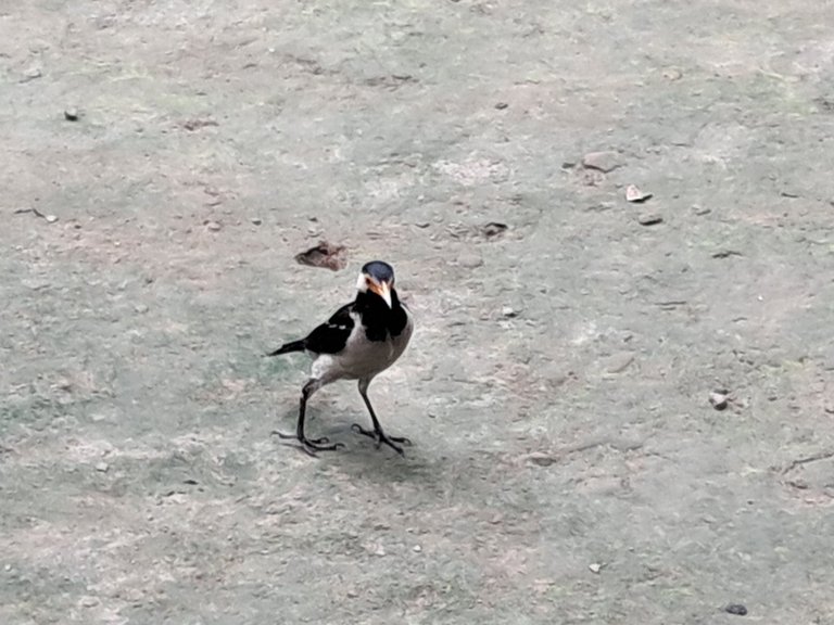 20240728_081720.jpg