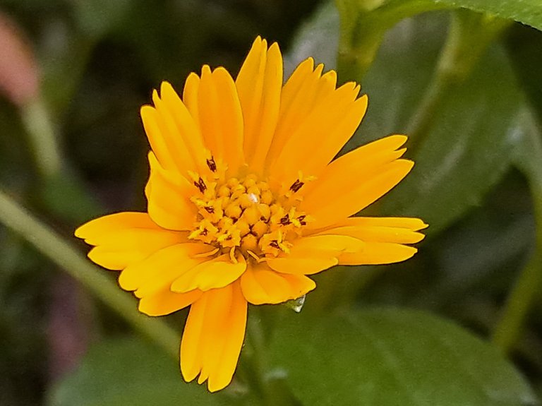 20250815_181153.jpg