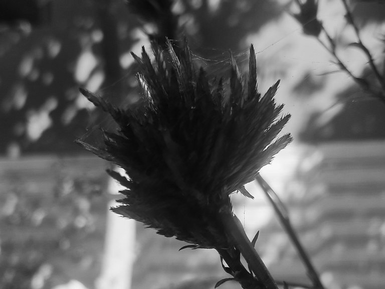 20250307_101047.jpg