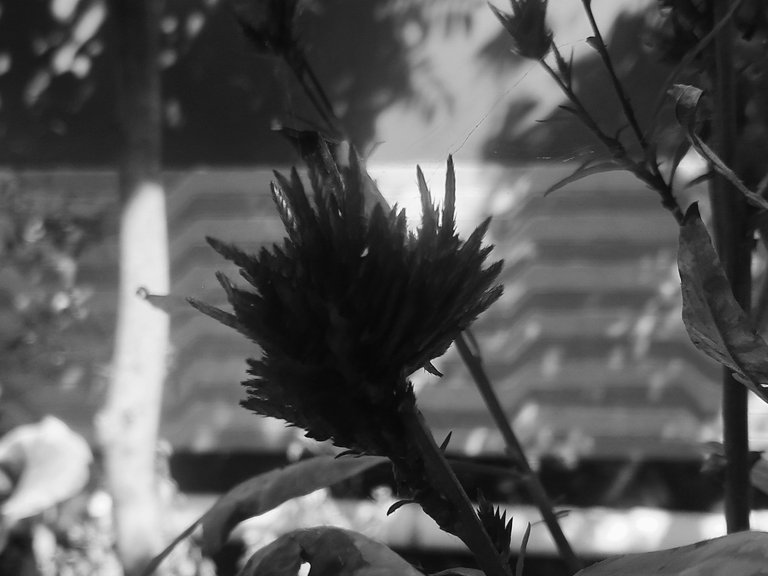 20250307_101042.jpg