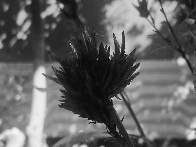 20250307_101044.jpg