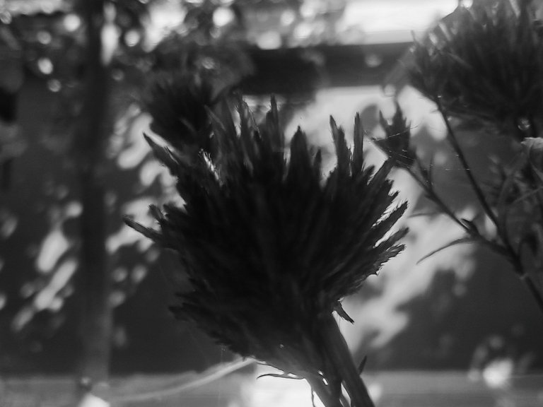 20250307_101033.jpg