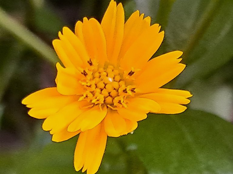 20250815_181201.jpg