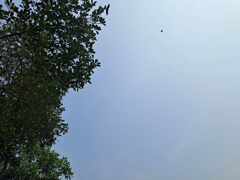 20250406_135556.jpg