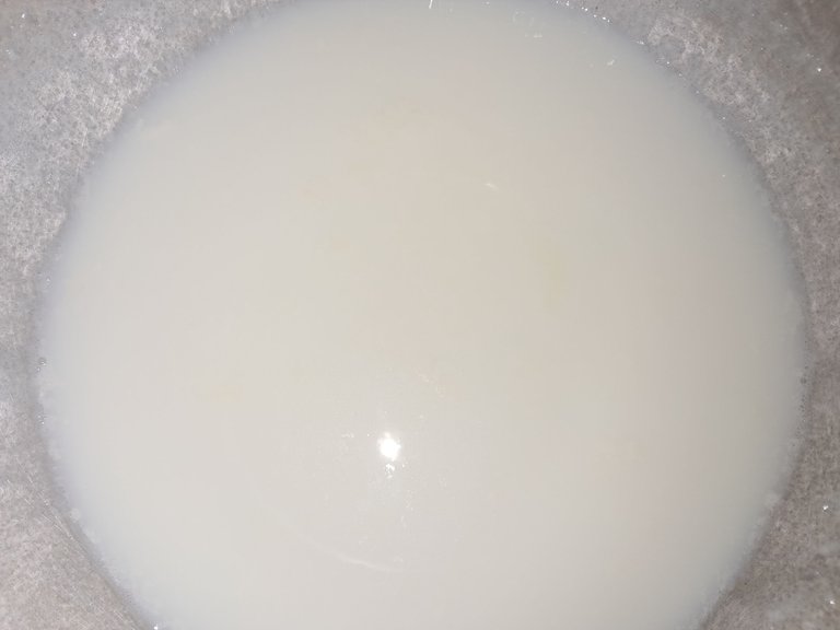 20250524_082120.jpg