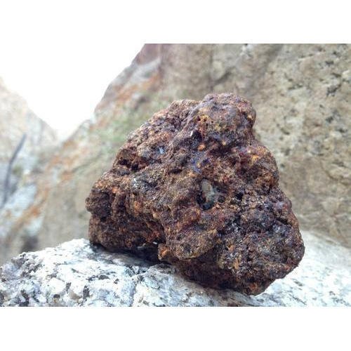 shilajit500x500.jpg