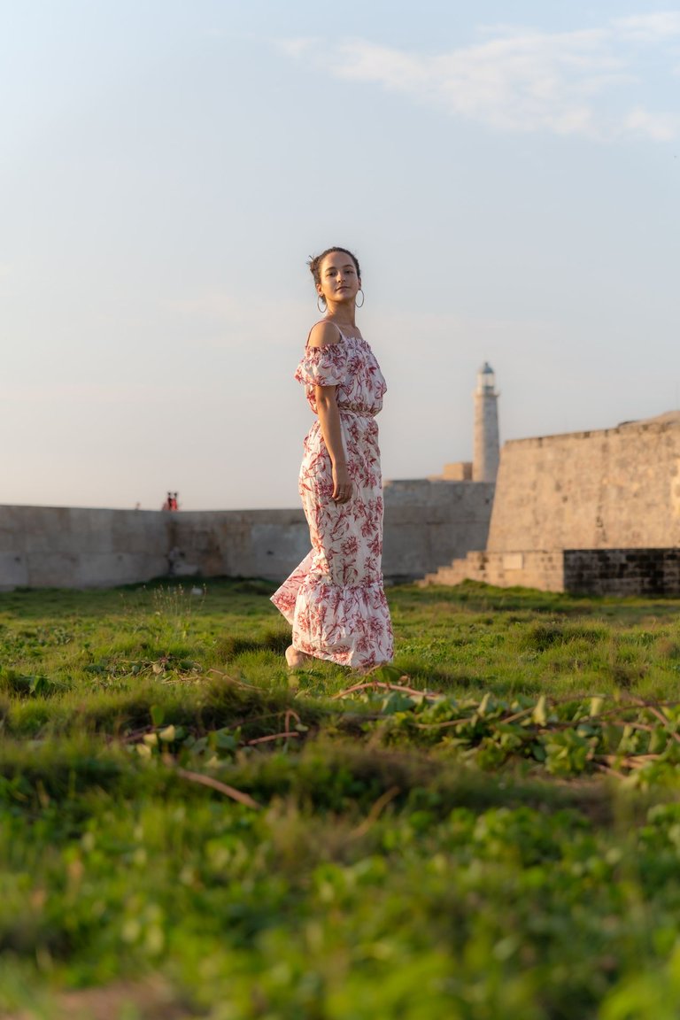 D85_9646-camlia-hd.jpg