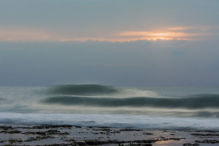 _DSC3357.jpeg