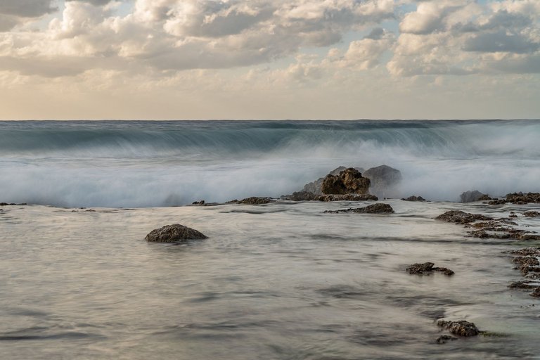 D85_9859.jpg