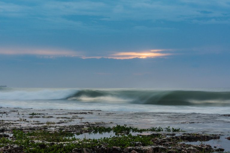 _DSC3363.jpeg